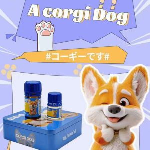 CORGI Premium Poppers HONGKONG PWD Original 40+20ml